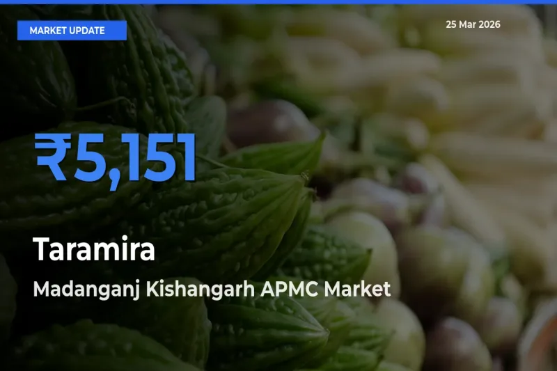 Market Watch: Madanganj Kishangarh APMC Becomes Top Mandi for Taramira