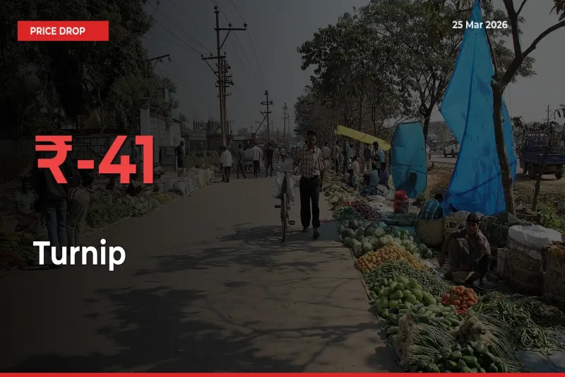 This Mandi Records 40.67% Fall in Turnip Prices