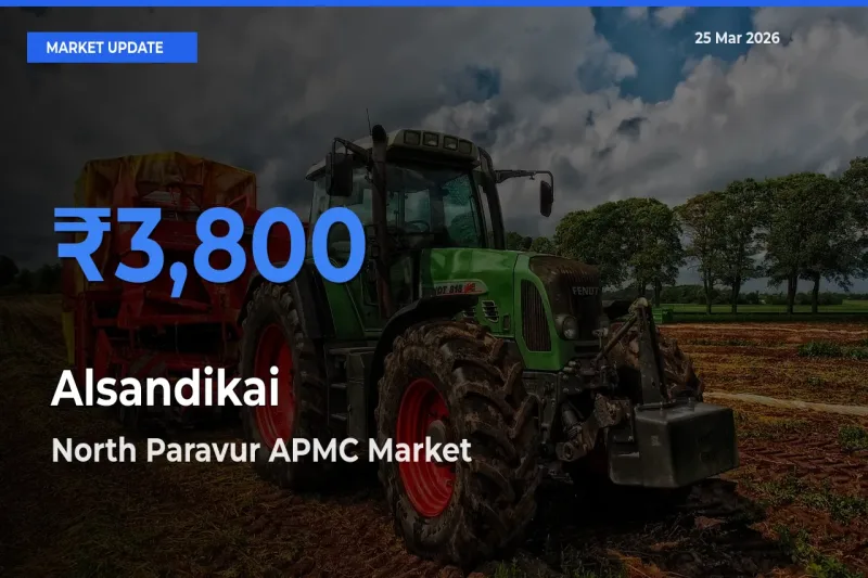 Alsandikai Mandi Rate Today: North Paravur APMC Tops the List