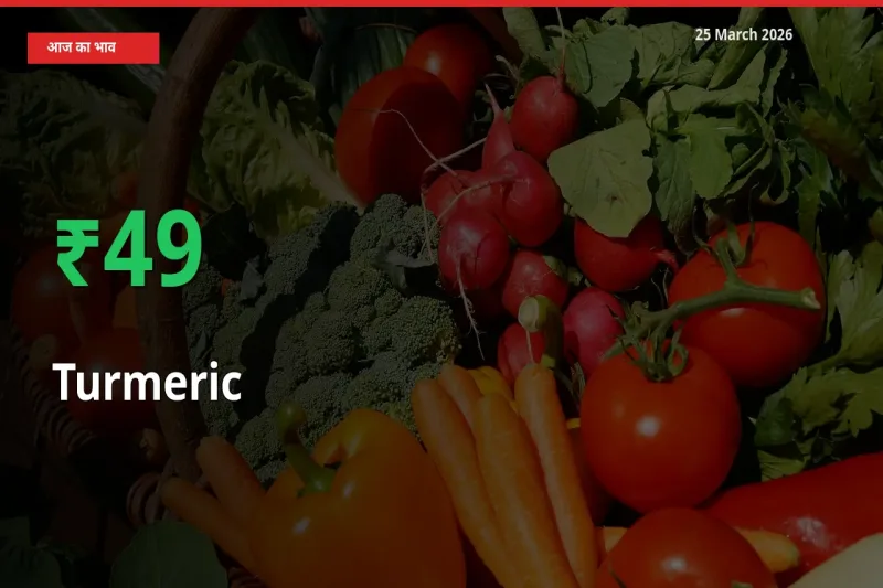 बाज़ार संकेत: हल्दी के भाव मंडी में 49.33% ऊपर