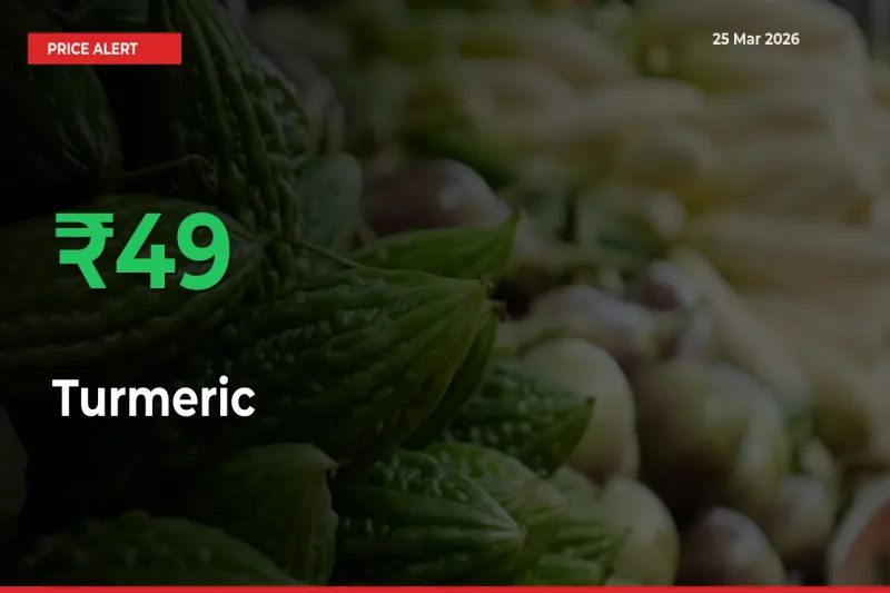 Big Rally! Turmeric Climbs 49.33% in 24 Hours at Top Mandis