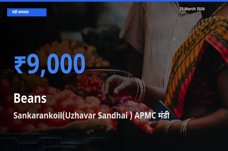 Sankarankoil(Uzhavar Sandhai ) APMC में फलियाँ (सेम) का आज सबसे ऊँचा भाव