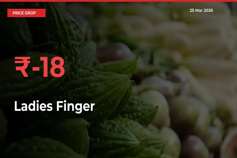 Sharp Fall! Ladies Finger Prices Plunge 18.31% in a Day at Key Mandis
