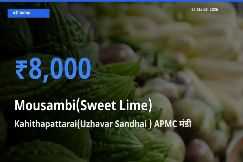 बाज़ार संकेत: Kahithapattarai(Uzhavar Sandhai ) APMC बना मौसंबी के लिए आज की टॉप मंडी