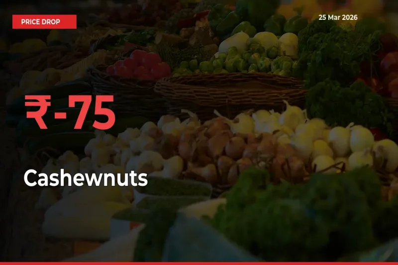 Sharp Fall! Cashewnuts Prices Plunge 74.96% in a Day at Key Mandis