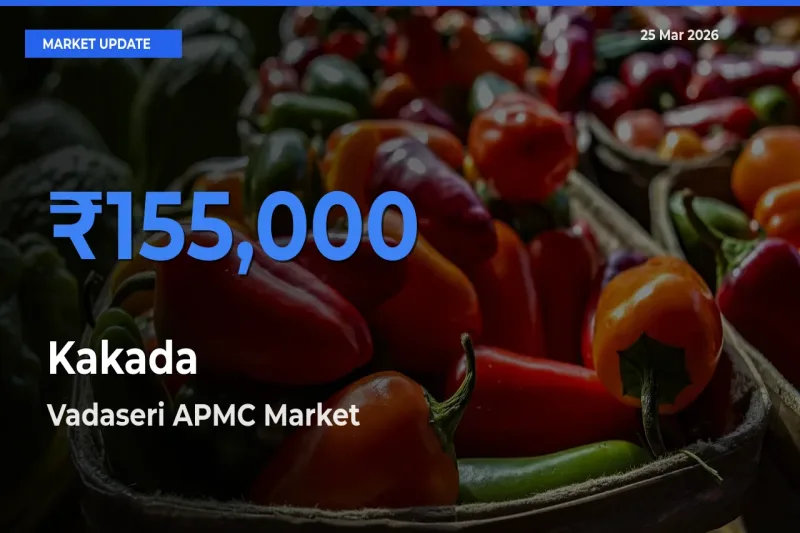 Vadaseri APMC Leads as Top Mandi for Kakada Prices
