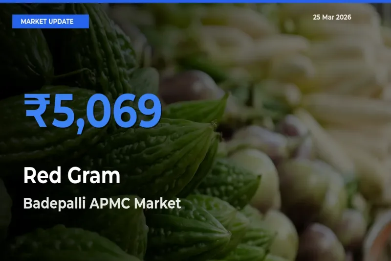 Badepalli APMC Offers ₹5,069 – Highest Red Gram Rate Today