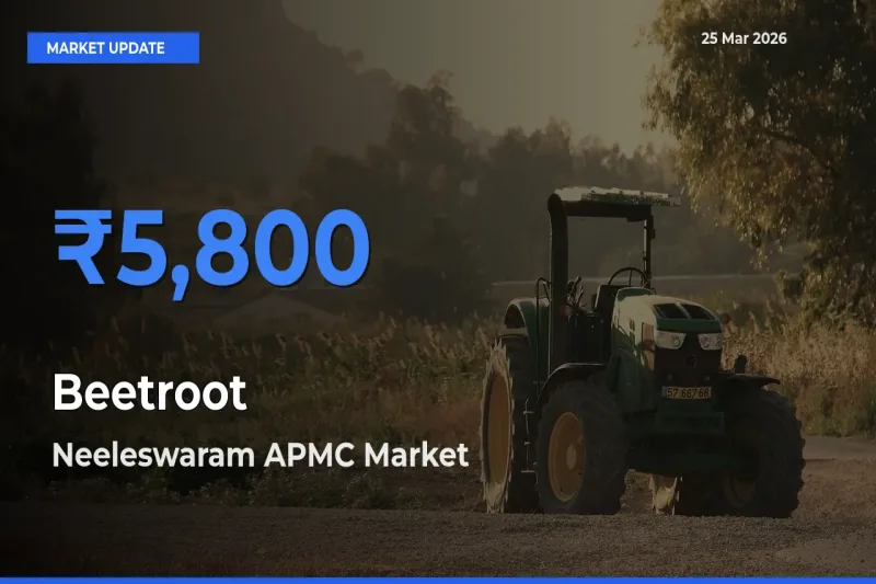 Neeleswaram APMC Records Highest ₹5,800 Rate for Beetroot