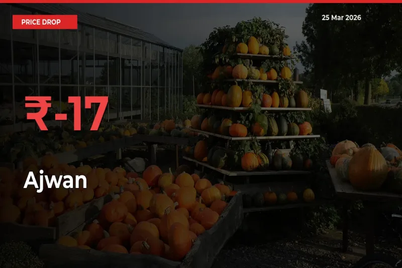 Ajwan Falls 16.58% at Mandis