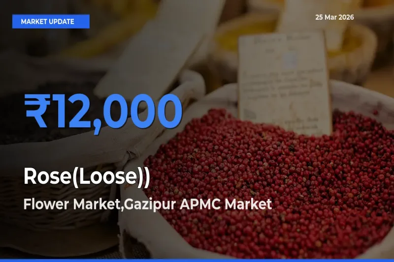 Market Watch: Flower Market,Gazipur APMC Becomes Top Mandi for Rose(Loose))
