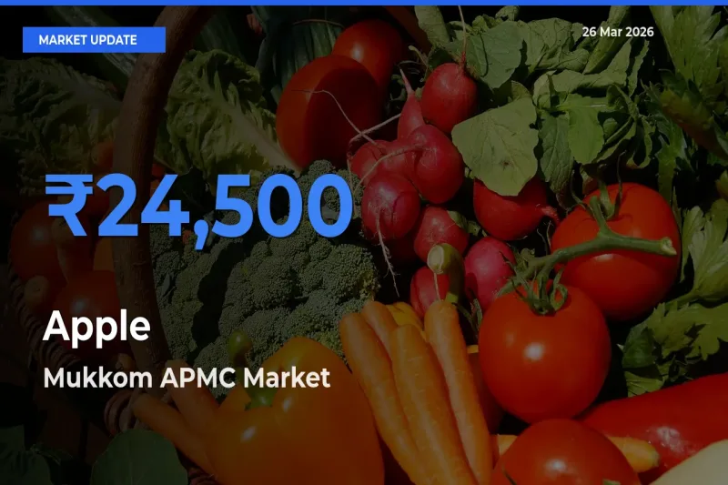 Farmers Prefer Mukkom APMC as Apple Hits Highest Rate