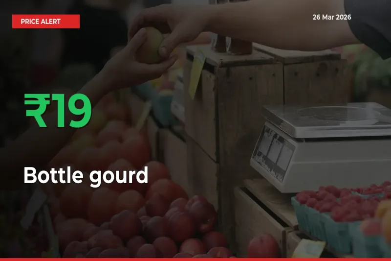 This Mandi Records 19.04% Jump in Bottle gourd Prices