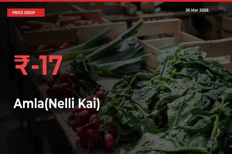 Amla(Nelli Kai) Prices Drop 16.93% – March 26 Market Update from Mandis