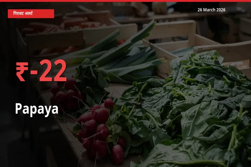 पपीता के दाम प्रमुख मंडी में 22.05% गिरे, 24 घंटे में बड़ा बदलाव