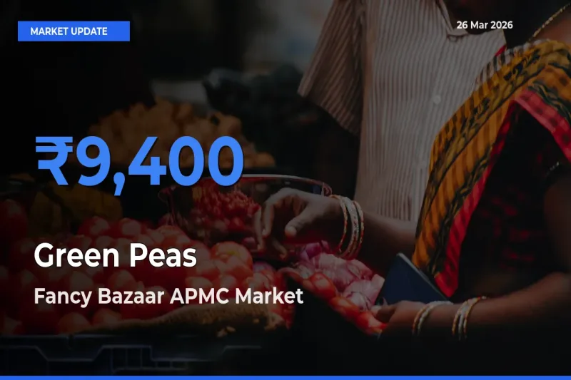Fancy Bazaar APMC Tops Green Peas Mandi Rates Today