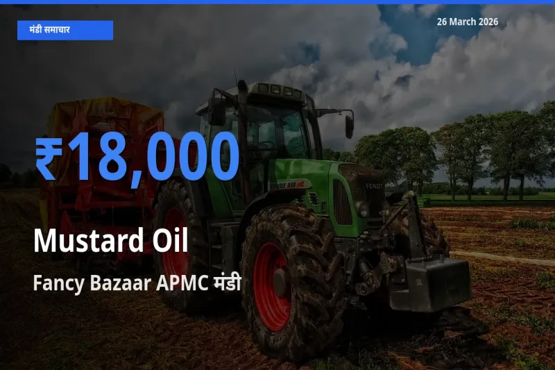 आज का मंडी भाव: सरसों का तेल के सबसे ज़्यादा दाम Fancy Bazaar APMC में