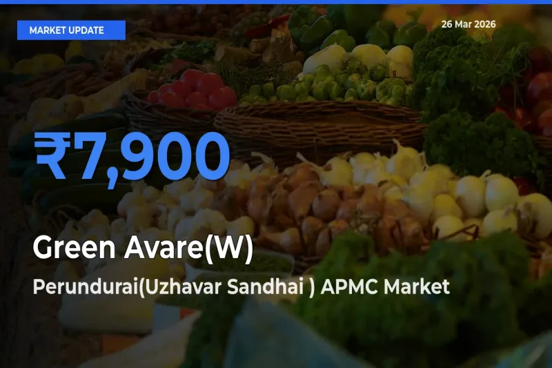 Perundurai(Uzhavar Sandhai ) APMC Tops Green Avare(W) Mandi Rates Today