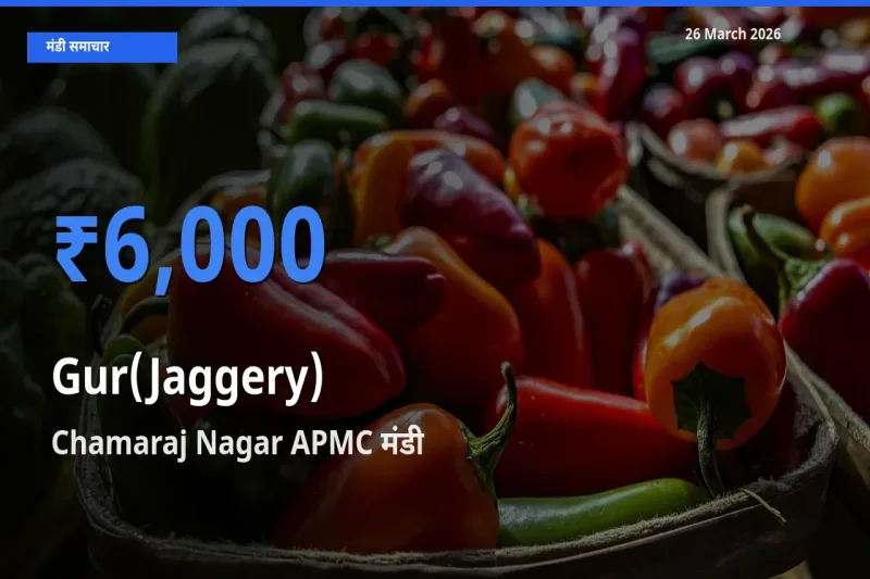 किसानों की पसंद बना Chamaraj Nagar APMC, गुड़ के सबसे अच्छे दाम