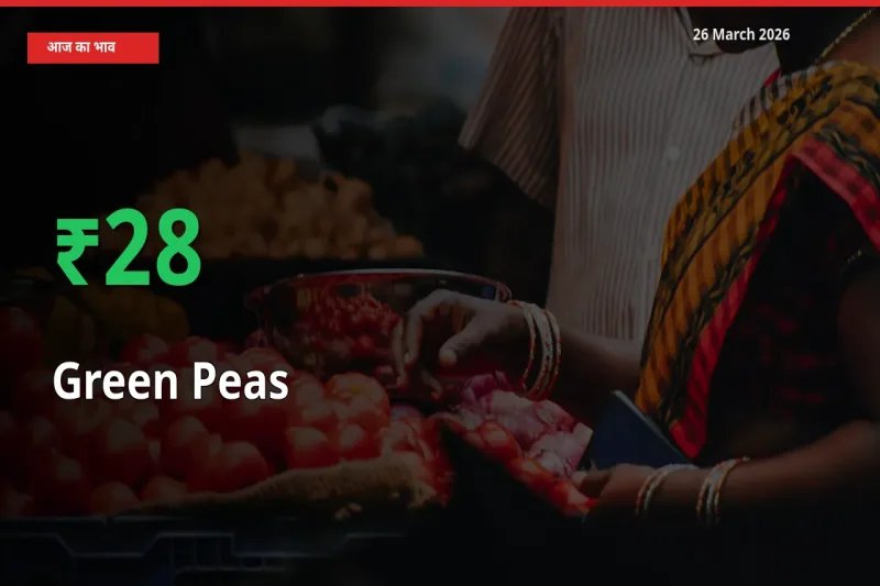 26 March अपडेट: हरा मटर के दाम मंडी में 27.89% उछले
