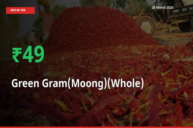26 March अपडेट: साबुत मूंग के दाम मंडी में 48.62% उछले