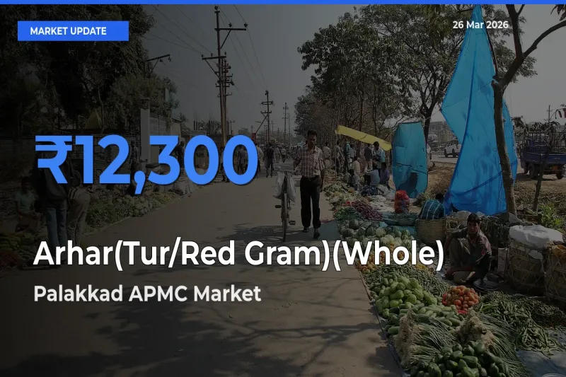 Palakkad APMC Tops Arhar(Tur/Red Gram)(Whole) Rates – March 26 Market Update