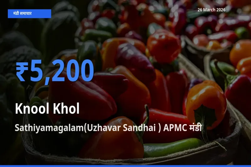 टॉप मंडी बना Sathiyamagalam(Uzhavar Sandhai ) APMC! गांठगोभी के सबसे ऊँचे दाम यहीं दर्ज