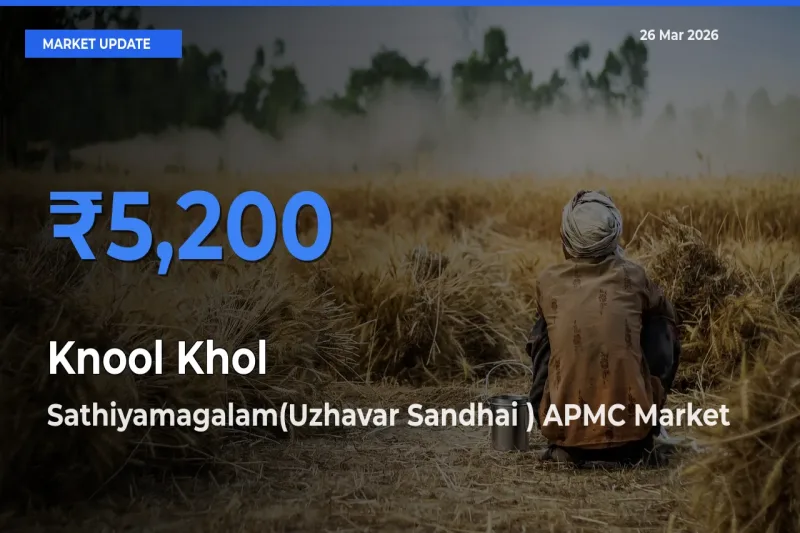 Sathiyamagalam(Uzhavar Sandhai ) APMC Records Highest ₹5,200 Rate for Knool Khol
