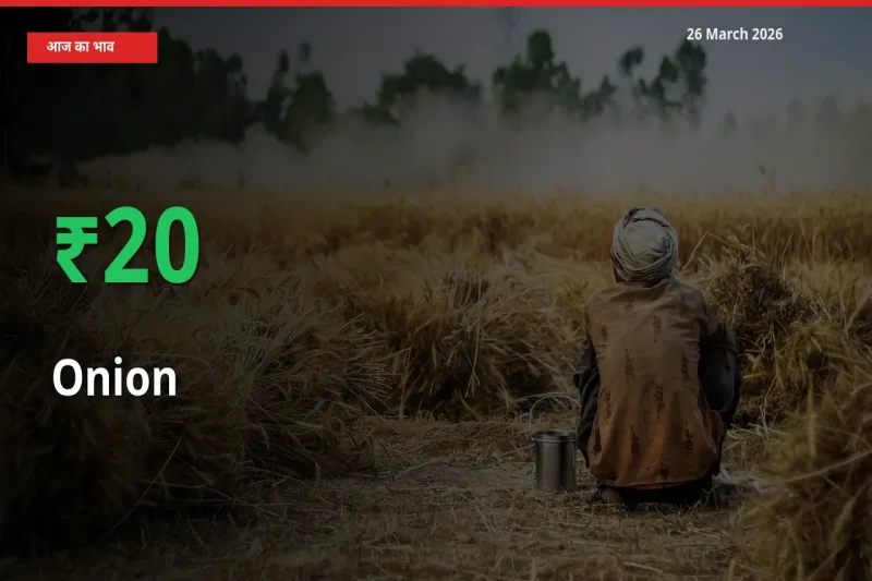 प्याज के दाम प्रमुख मंडी में 19.73% बढ़े, 24 घंटे में बड़ा बदलाव
