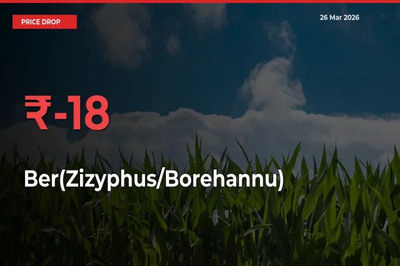 Ber(Zizyphus/Borehannu) Prices Drop 17.87% – March 26 Market Update from Mandis