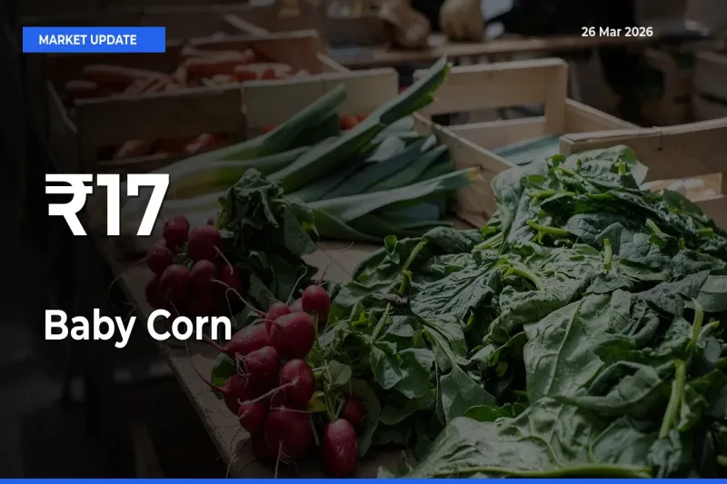 Multi-Mandi Trend Emerges as Baby Corn Prices Shift Across Key Markets