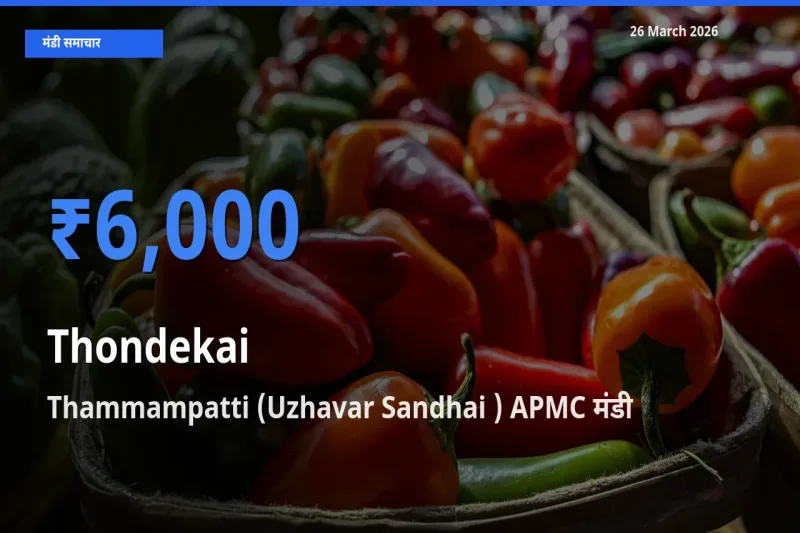 Thammampatti (Uzhavar Sandhai ) APMC में कुंदरू का आज सबसे ऊँचा भाव