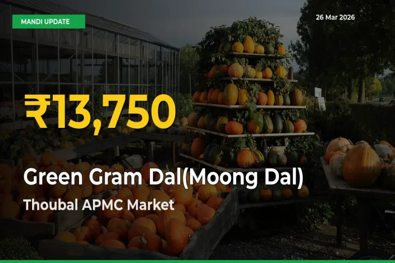 Green Gram Dal(Moong Dal) Hits Fresh High in Thoubal APMC Today