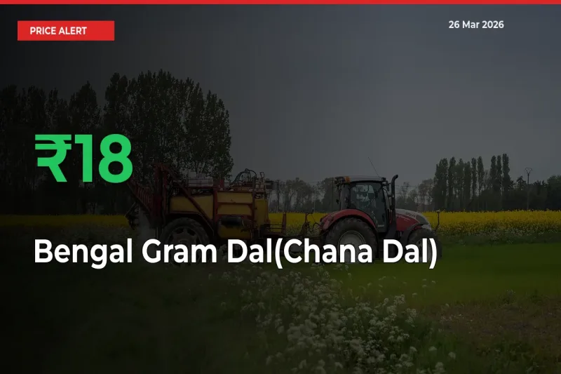 Bengal Gram Dal(Chana Dal) Mandi Rate Today: Prices Jump 17.97% at Market