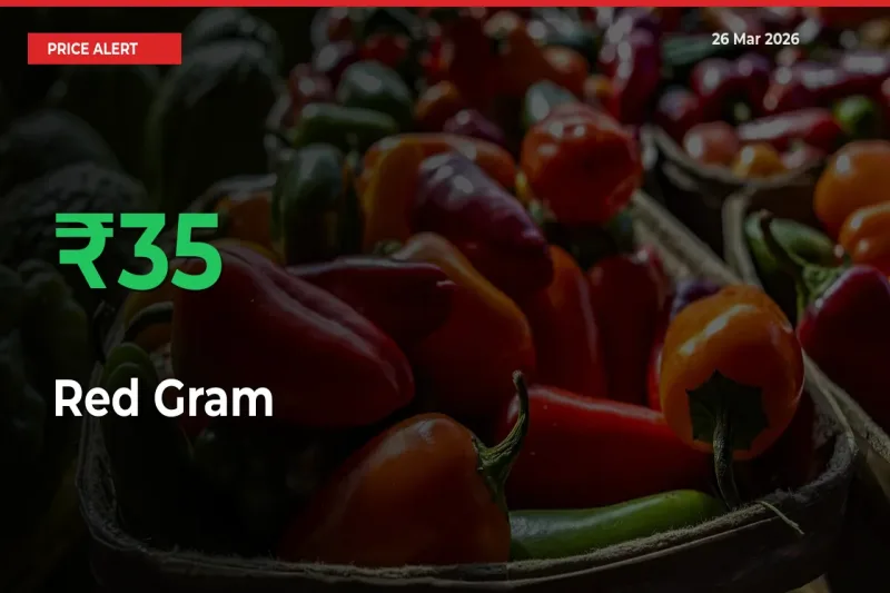 Sudden 34.97% Rally in Red Gram Prices Across Mandis