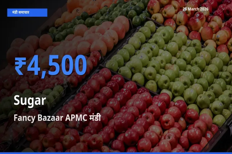 Fancy Bazaar APMC में चीनी का आज सबसे ऊँचा भाव