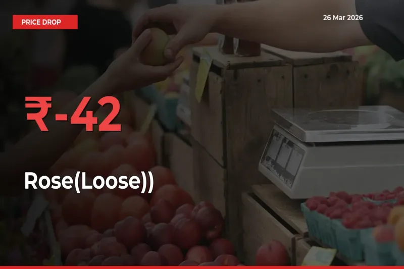 Rose(Loose)) Falls 41.94% at Mandis