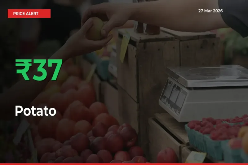 Why Potato Prices Rose 36.9% in a Day at Mandis