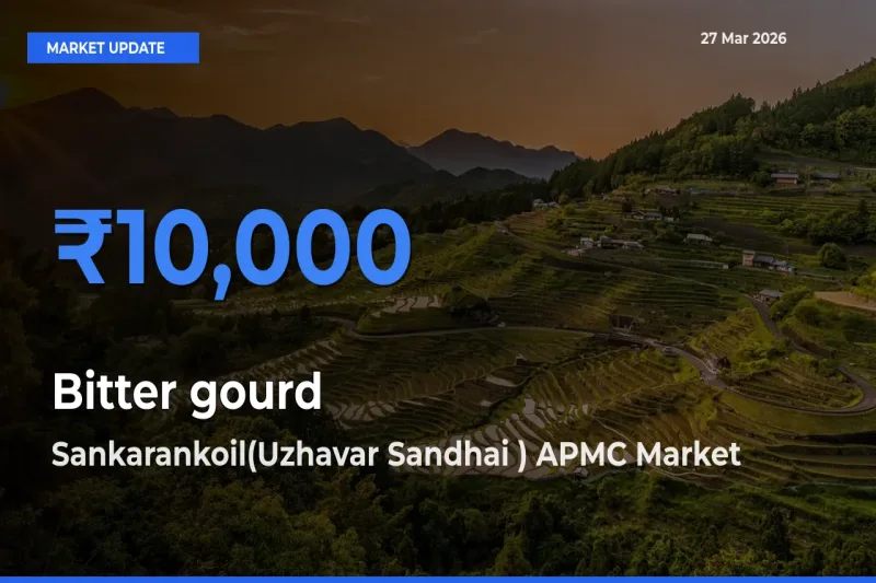 Bitter gourd Mandi Rate Today: Sankarankoil(Uzhavar Sandhai ) APMC Tops the List