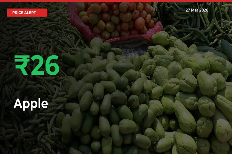 Farmers Cheer as Apple Prices Surge 26.47% in Local Mandis