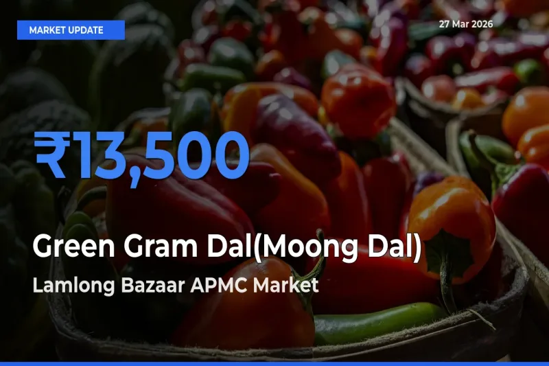 Lamlong Bazaar APMC Tops Green Gram Dal(Moong Dal) Mandi Rates Today