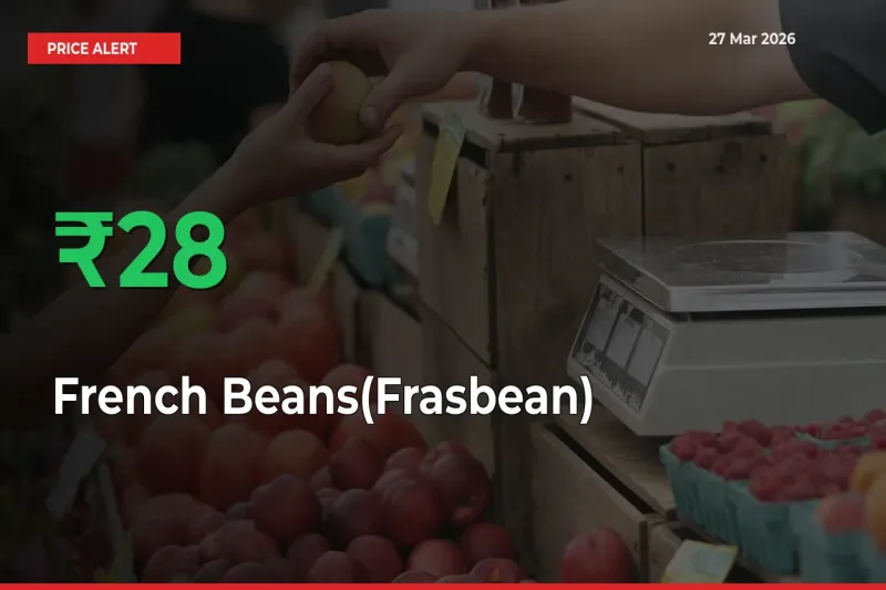 Big Rally! French Beans(Frasbean) Climbs 27.89% in 24 Hours at Top Mandis