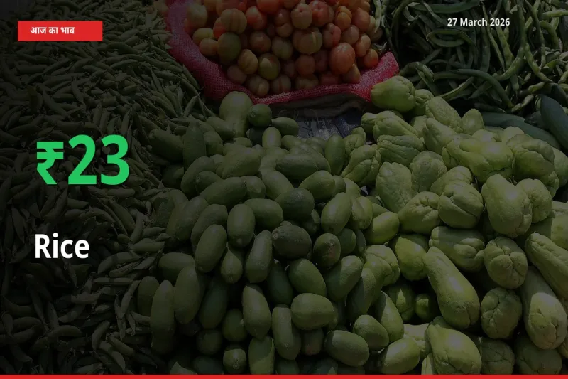 चावल 22.78% उछला, मंडी