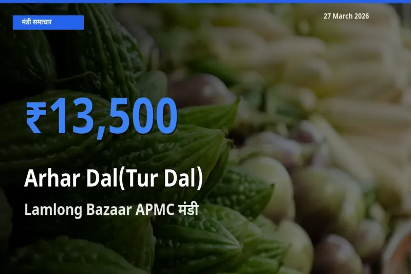 आज का मंडी भाव: अरहर दाल के सबसे ज़्यादा दाम Lamlong Bazaar APMC में