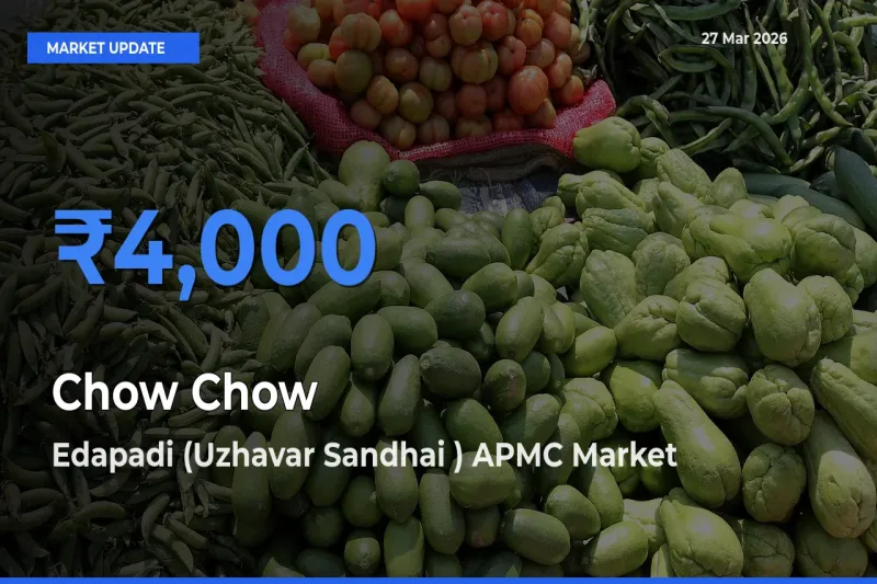 Chow Chow Mandi Rate Today: Edapadi (Uzhavar Sandhai ) APMC Tops the List