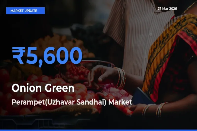 Perampet(Uzhavar Sandhai) Offers ₹5,600 – Highest Onion Green Rate Today