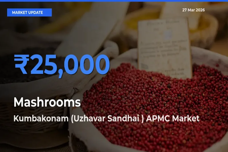 Kumbakonam (Uzhavar Sandhai ) APMC Offers ₹25,000 – Highest Mashrooms Rate Today