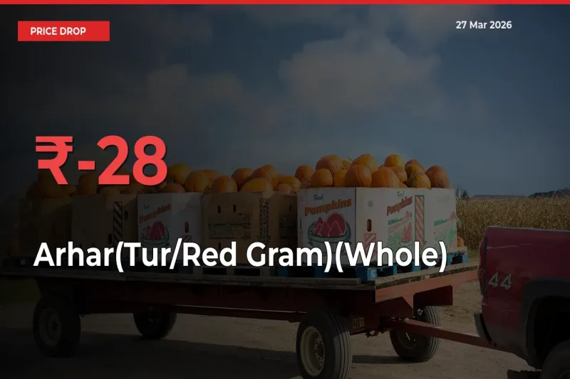 Arhar(Tur/Red Gram)(Whole) Prices Drop 27.93% – March 27 Market Update from Mandis