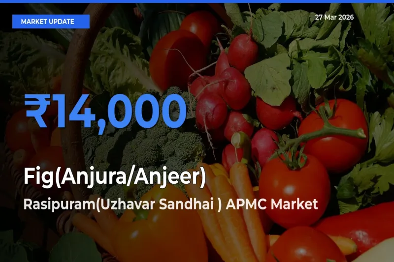 Rasipuram(Uzhavar Sandhai ) APMC Records Highest ₹14,000 Rate for Fig(Anjura/Anjeer)