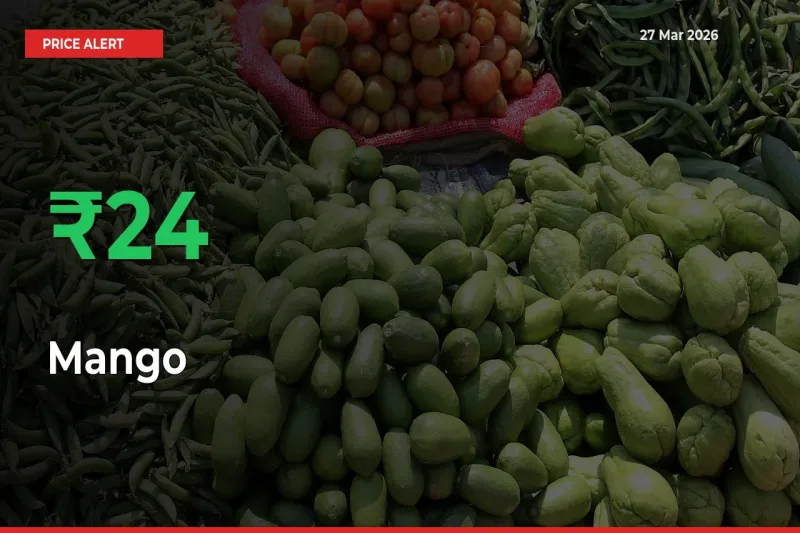 This Mandi Records 24.21% Jump in Mango Prices