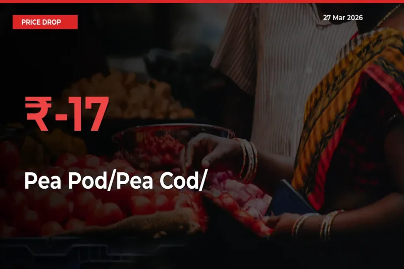 Pea Pod/Pea Cod/हरी मटर Prices Drop 17.27% – March 27 Market Update from Mandis